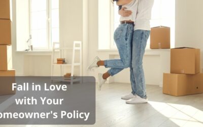 Fall in Love with Your Homeowner’s Policy 