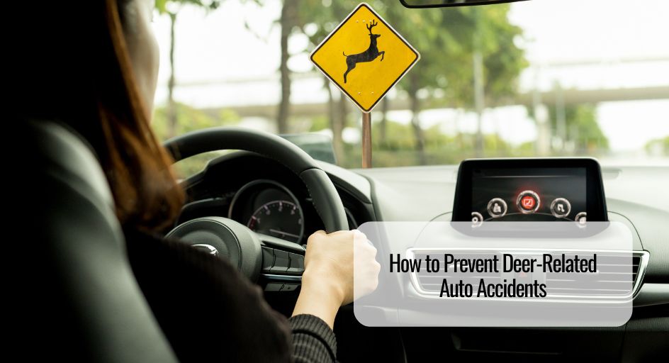 How to Prevent Deer-Related Auto Accidents  
